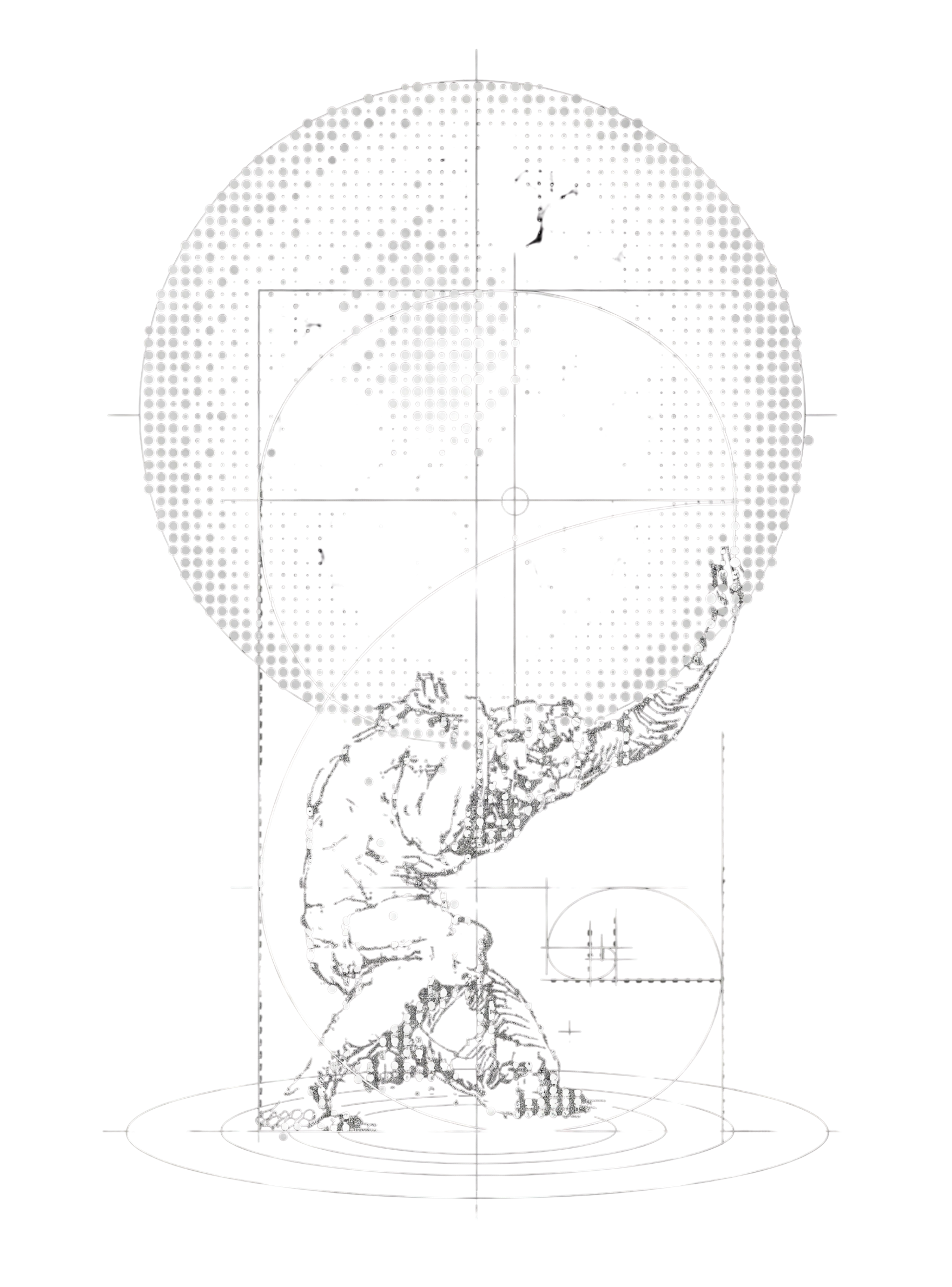 Atlas figure